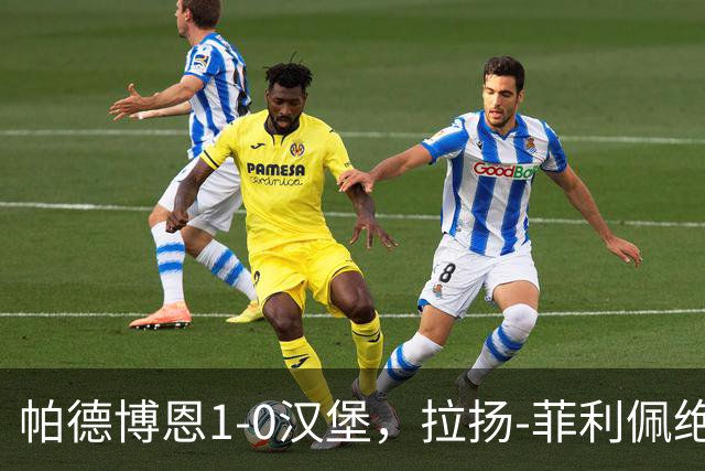 帕德博恩1-0汉堡，拉扬-菲利佩绝杀