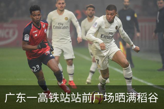 广东一高铁站站前广场晒满稻谷“治愈风”拉满，当地回应：不影响运行即可晾晒