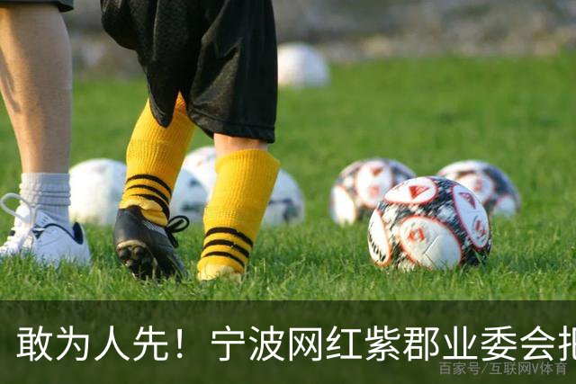 敢为人先！宁波网红紫郡业委会把长期欠物业费业主给强制执行了！