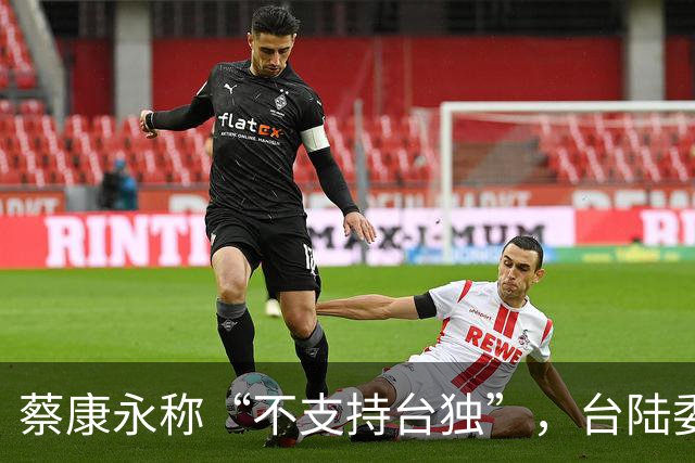 蔡康永称“不支持台独”，台陆委会又在狡辩，忽略重要一点