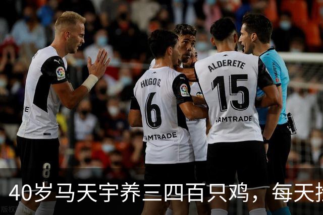 40岁马天宇养三四百只鸡，每天捡100多枚蛋，自曝钱够花便无所谓，是活明白了还是提前认输